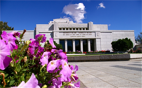Cardston temple with pink flowers in foreground